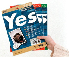 YESGLOSSY260A4 picture